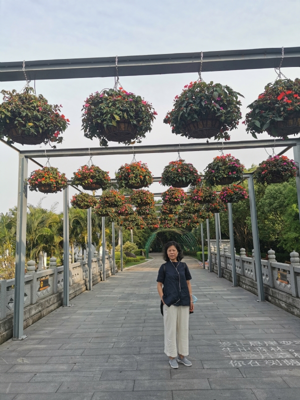 一叶知秋的第一张照片--柘荣征婚网